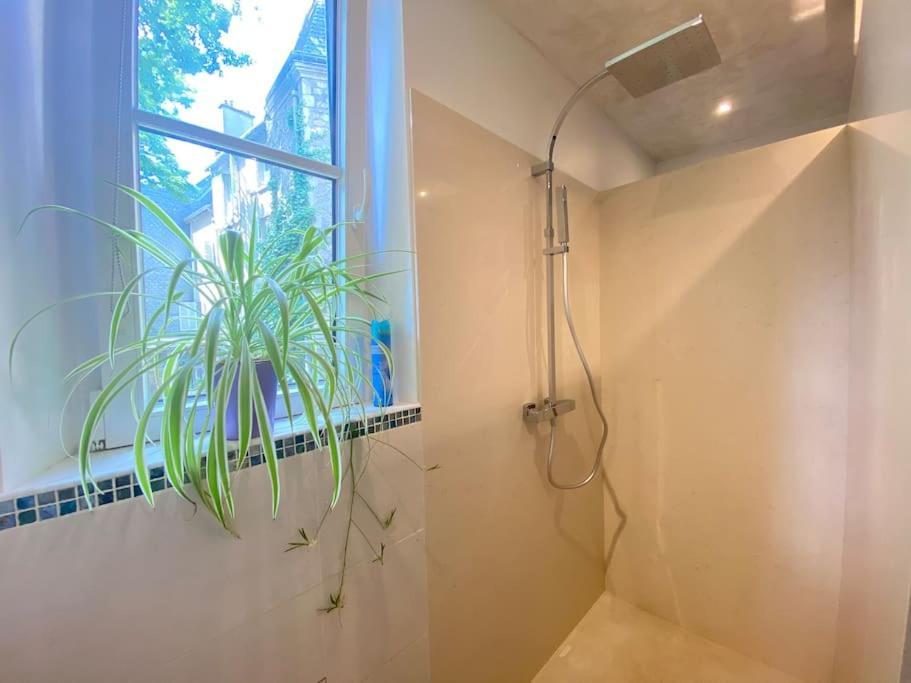 לה מאנש Charmant Appartement - Centre Cite Plantagenet!!! מראה חיצוני תמונה